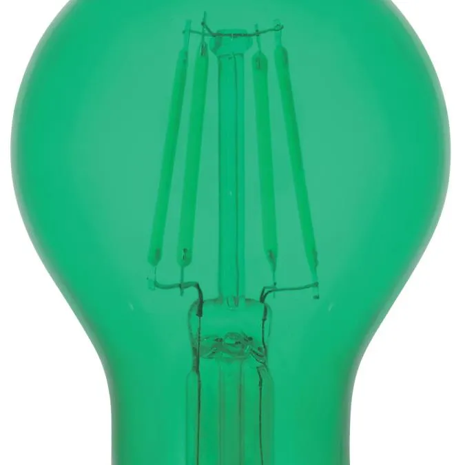 4.5 Watt (40 Watt Equivalent) A19 Filament LED Light Bulb