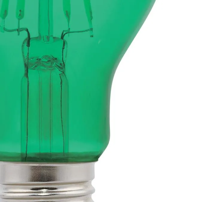 4.5 Watt (40 Watt Equivalent) A19 Filament LED Light Bulb