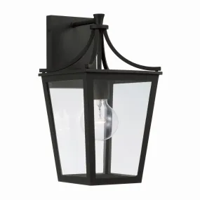 Adair 1-Light Outdoor Wall Lantern