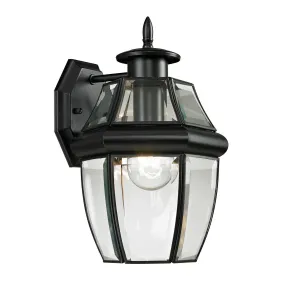 Ashford 1-Light Coach Lantern