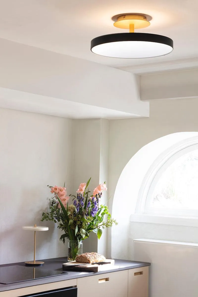 Asteria Up Ceiling Lamp