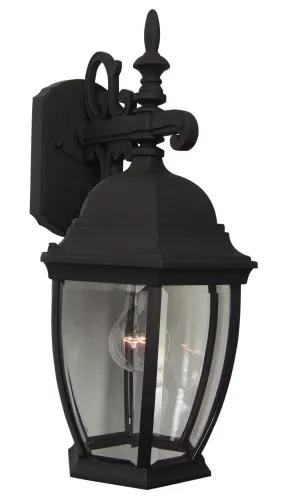 Bent Glass 1-Light Wall Lantern