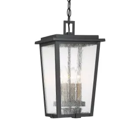 Cantebury 4 lights 9 in. Outdoor Hanging Lantern Black & Gold finish