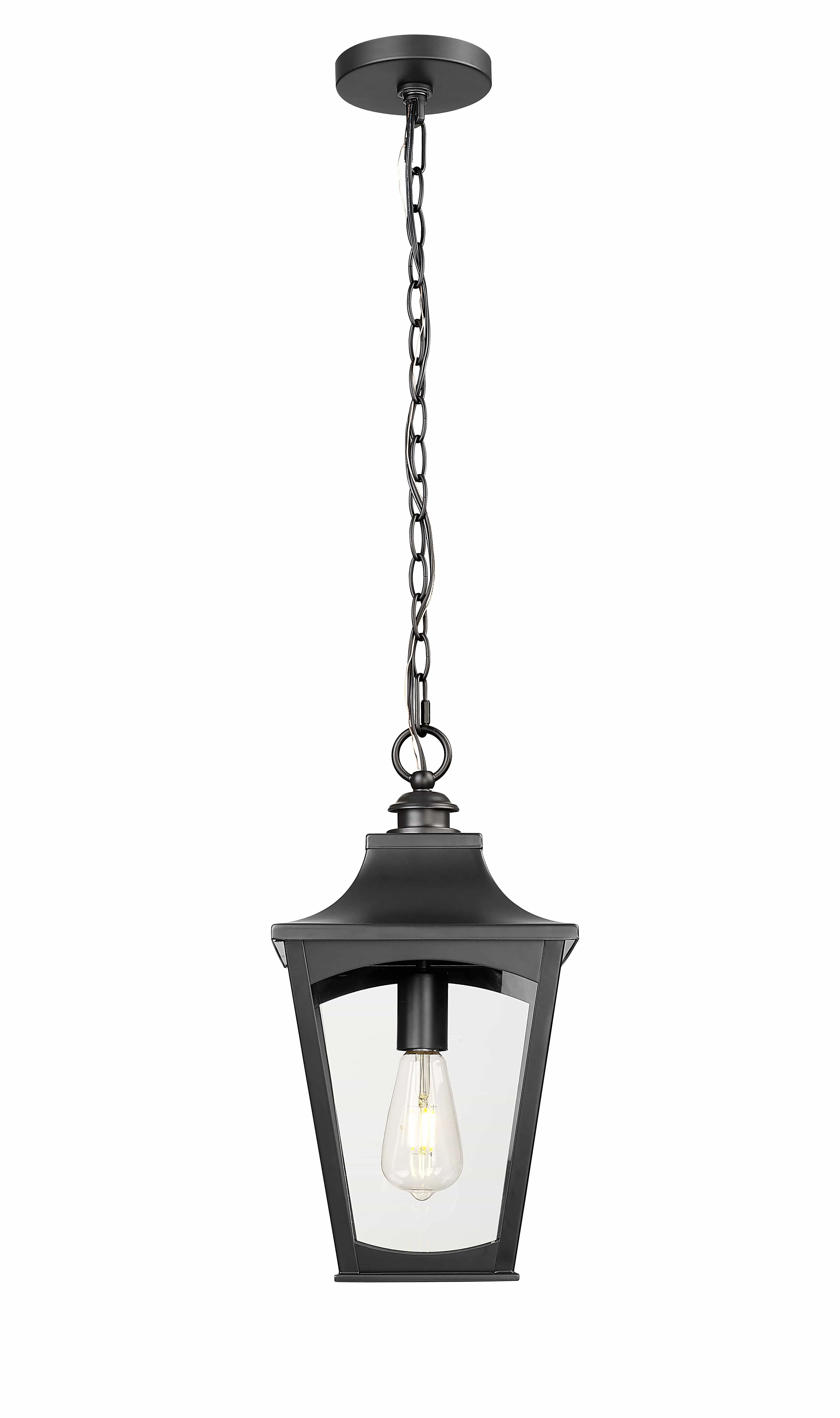 Curry Outdoor Hanging Lantern - Powder Coated Black - Clear Glass - 9in. Diameter - E26 Medium Base