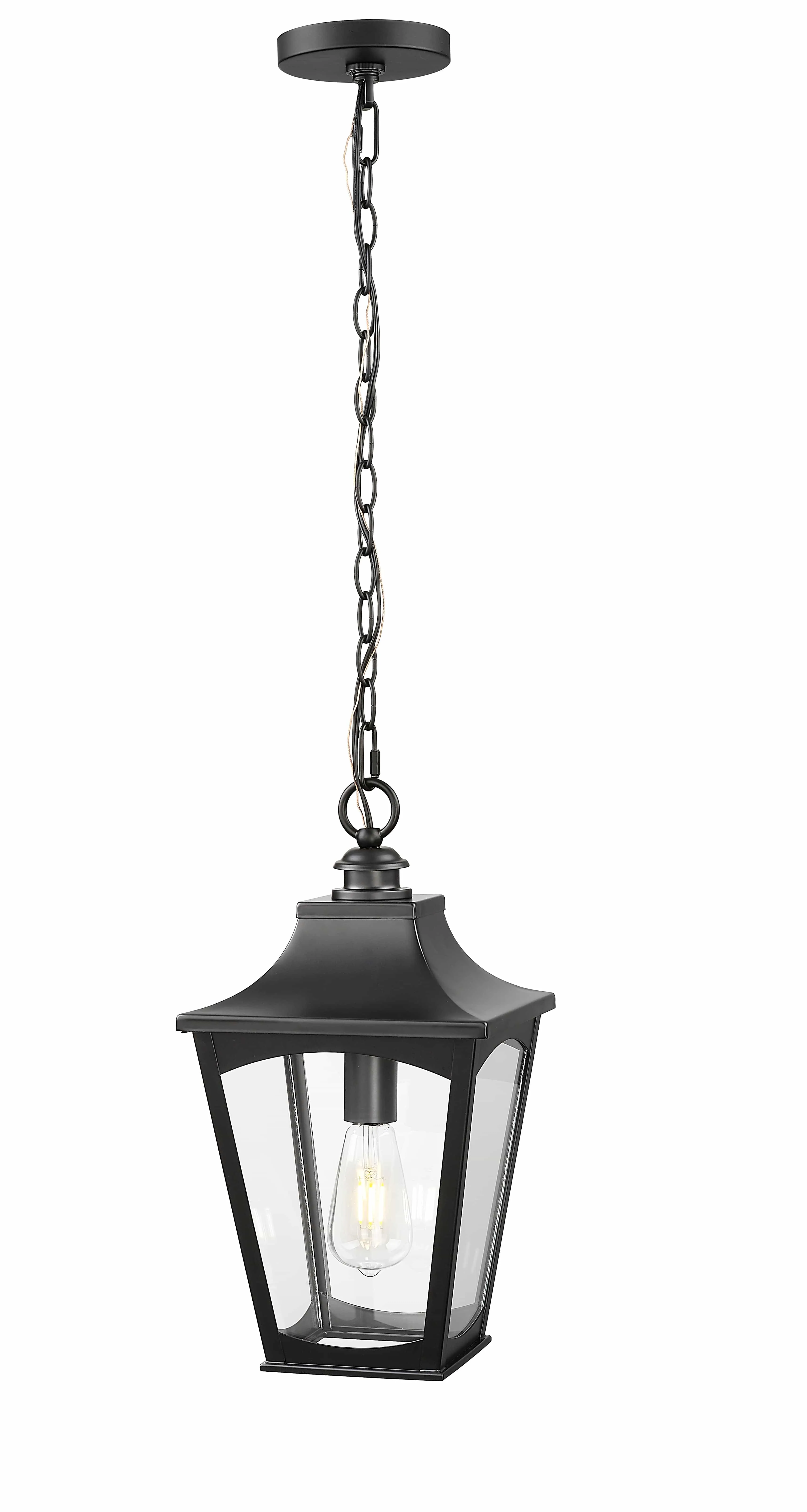 Curry Outdoor Hanging Lantern - Powder Coated Black - Clear Glass - 9in. Diameter - E26 Medium Base