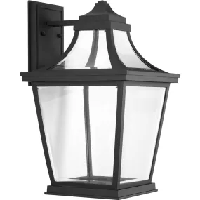 Endorse 1-Light Large Wall Lantern