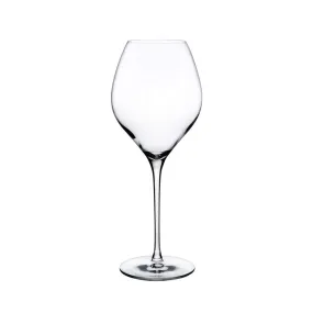 Fantasy White Wine Glasses (Set of 2)