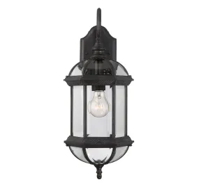 Kensington 1-Light Outdoor Wall Lantern