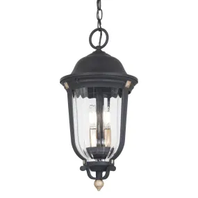 Peale Street 3 lights 10 in. Outdoor Hanging Lantern Black & Gold finish