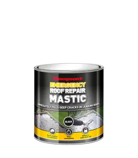 Thompsons Roof Repair Mastic - Black - 750ml